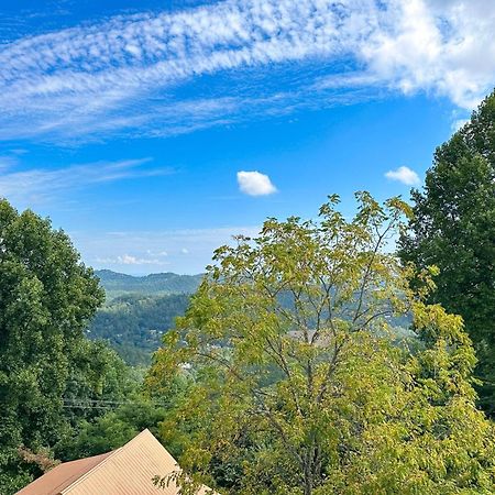 Little Black Bear Retreat Pigeon Forge Luaran gambar