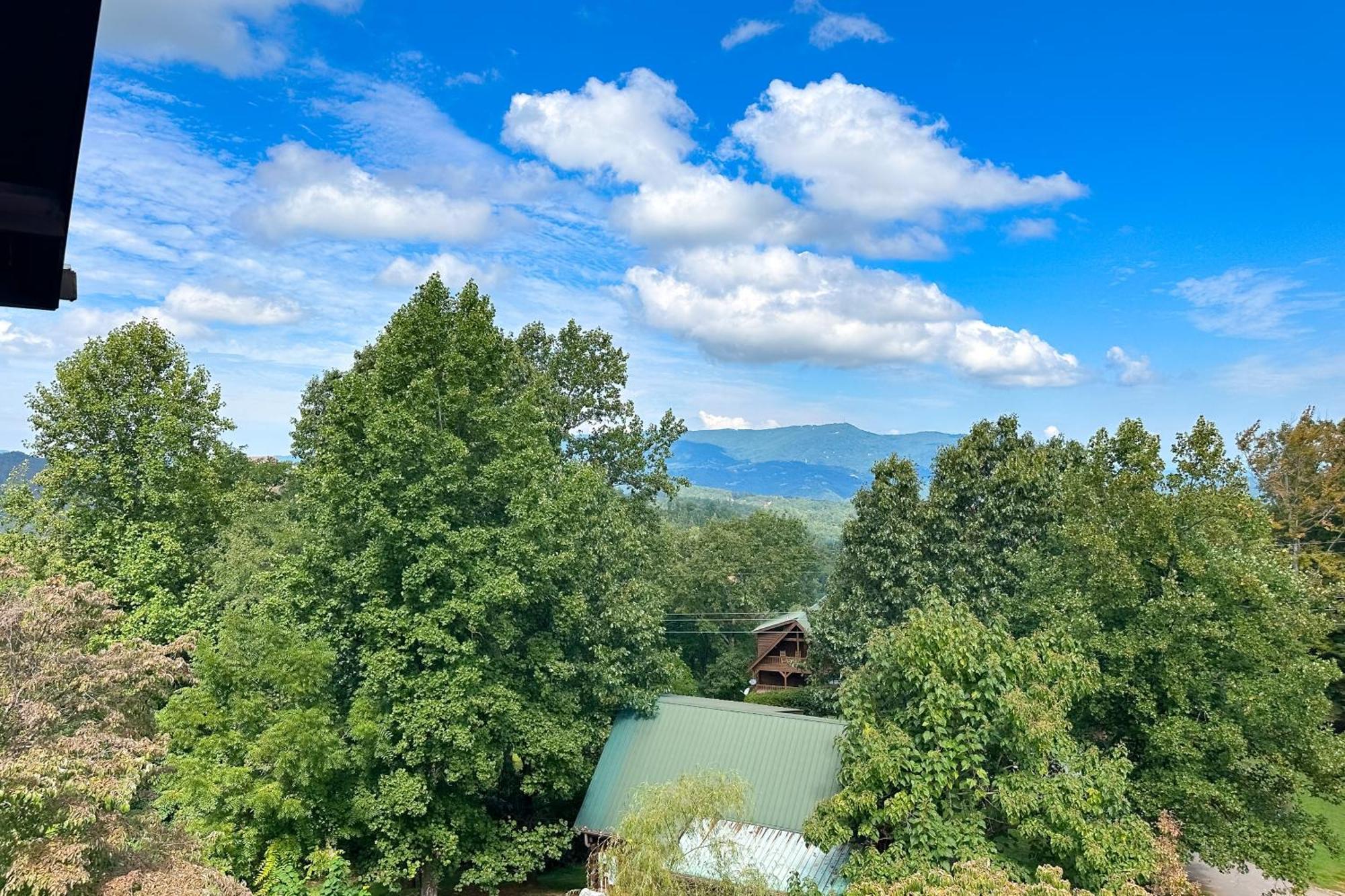 Little Black Bear Retreat Pigeon Forge Luaran gambar